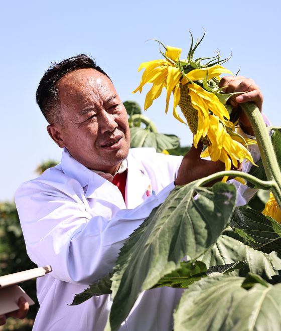 试验示范