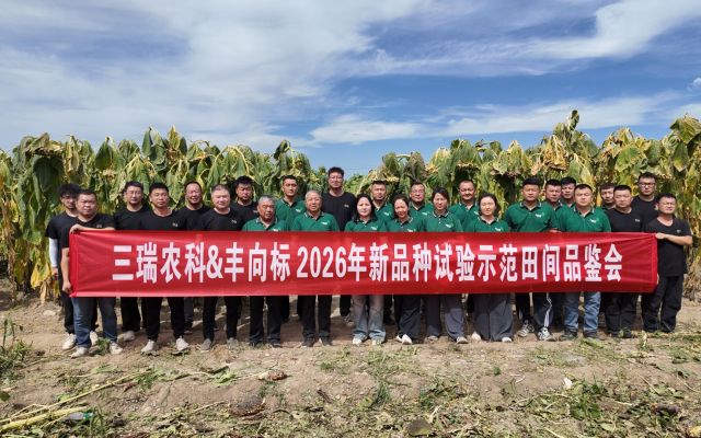 为种植选好种，为市场找好品|三瑞农科&丰向标2026年新品种试验示范品鉴会——塔城站圆满结束