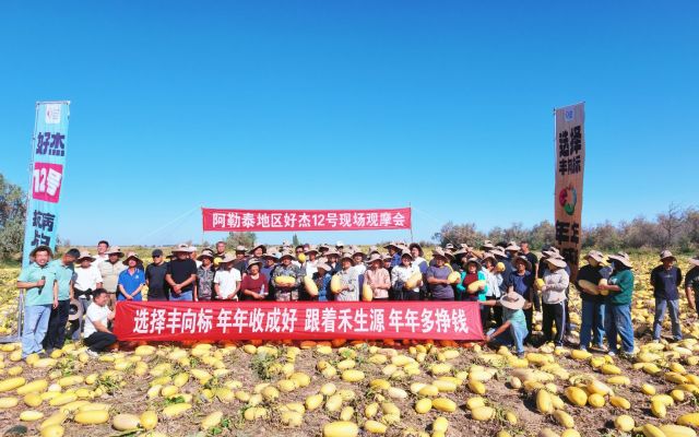 靠实力拿下5000亩订单|福海县好杰12号现场观摩会圆满结束！