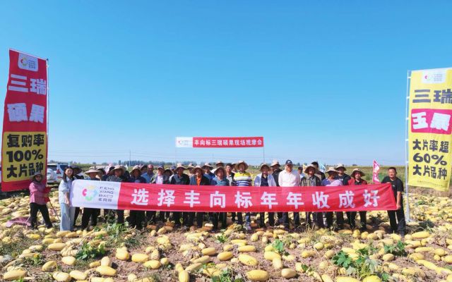 两个品种，一样的认可｜五原塔尔湖镇三瑞硕果+三瑞玉果现场观摩会圆满结束！