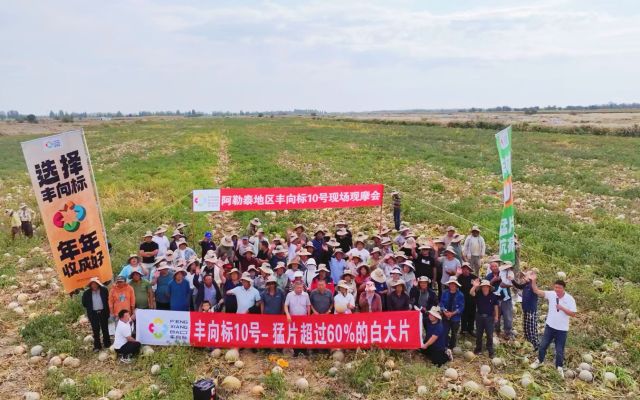 猛片超过60%的高收益白大片｜阿勒泰183团丰向标10号现场观摩会圆满落幕！